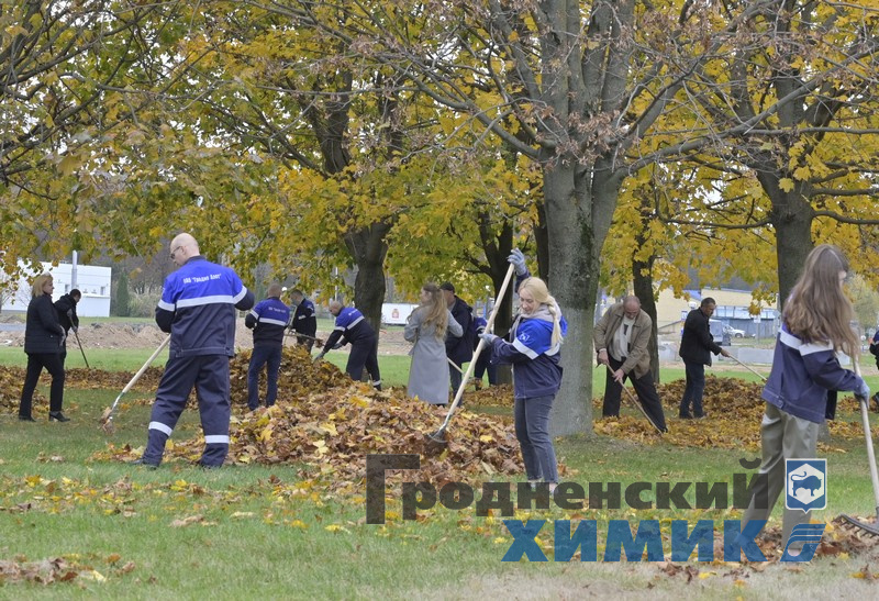 4566768798090 (5).jpg